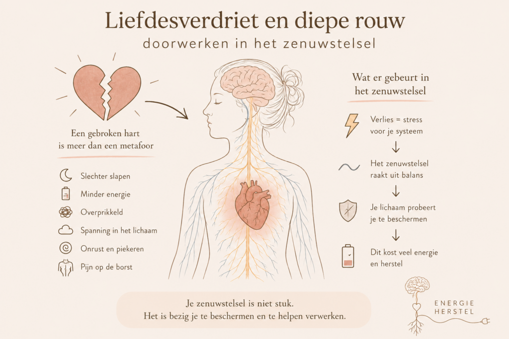 Infographic over hoe liefdesverdriet en diepe rouw het autonome zenuwstelsel beïnvloeden, met uitleg over stressreacties, lichamelijke klachten en herstel.

Ontdek hoe liefdesverdriet en diepe rouw invloed hebben op je zenuwstelsel. Leer waarom verlies stress veroorzaakt, welke lichamelijke klachten kunnen ontstaan en hoe je zenuwstelsel stap voor stap kan herstellen.